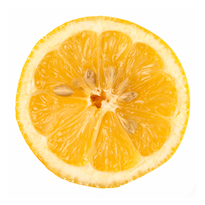 레몬 주스(0.24%) 