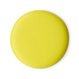 스퀴즈 더 데이