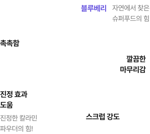 페이스 마스크 설명
