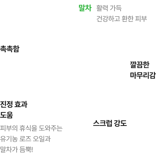 페이스 마스크 설명