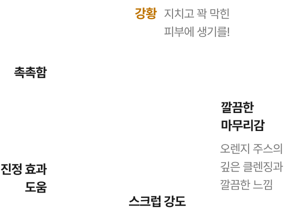페이스 마스크 설명