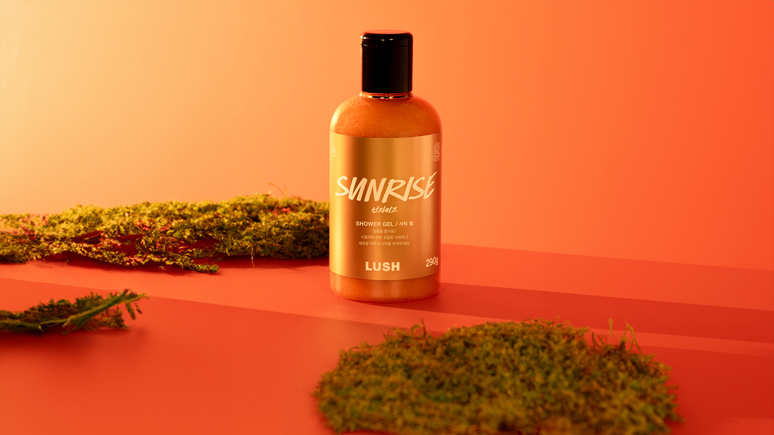 사용방법 이미지