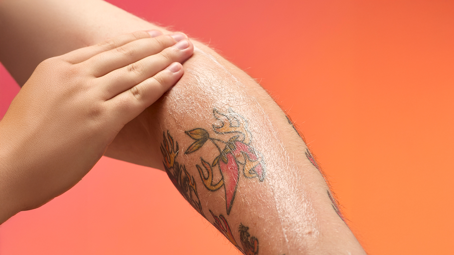 사용방법 이미지