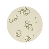 더티 헤어 앤 비어드 오일