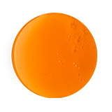 메리 크리스마스 에브리원